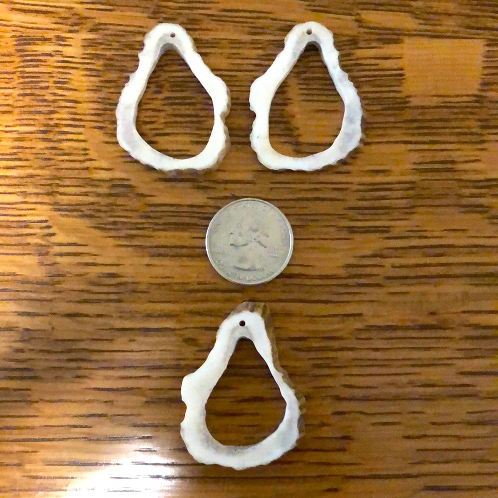 Antler Earring/Pendant Set